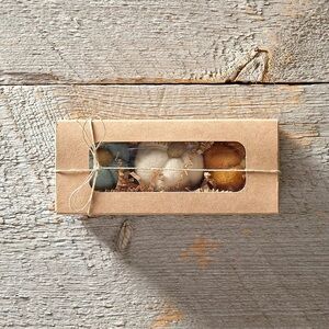 Anthropologie Pumpkin-Shaped Bath Sponges - Set of 3 New